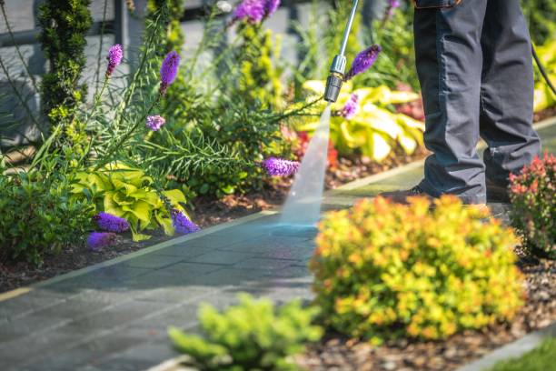 Best Pre-Holiday Cleaning  in Ansted, WV